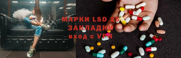 сатива Надым