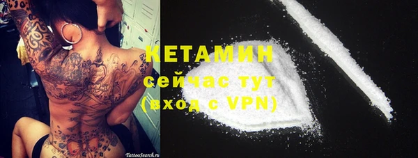 сатива Надым