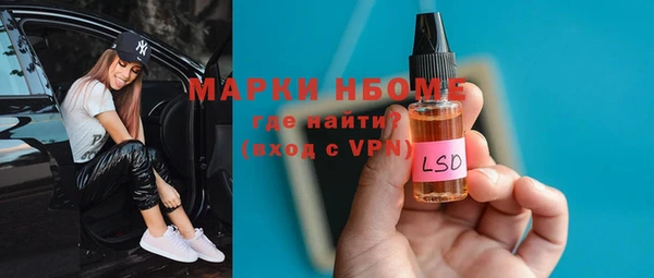 сатива Надым