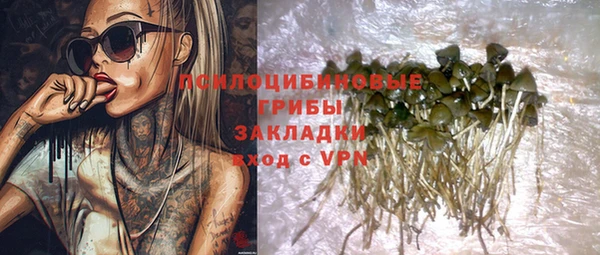 дживик Навашино