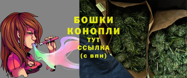 сатива Надым