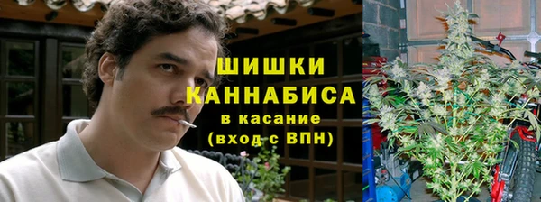 дживик Навашино
