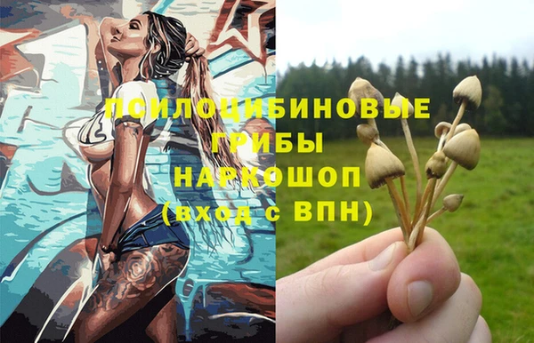 гашик Наволоки