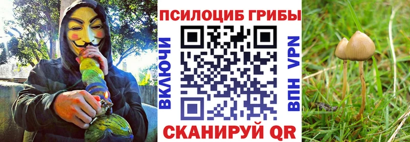 Галлюциногенные грибы мицелий  магазин    MEGA зеркало  Рыбинск 