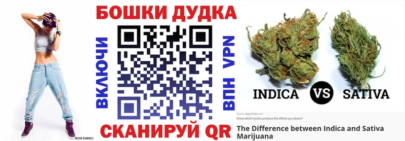 Бошки Шишки семена  купить  цена  shop наркотические препараты  Рыбинск 